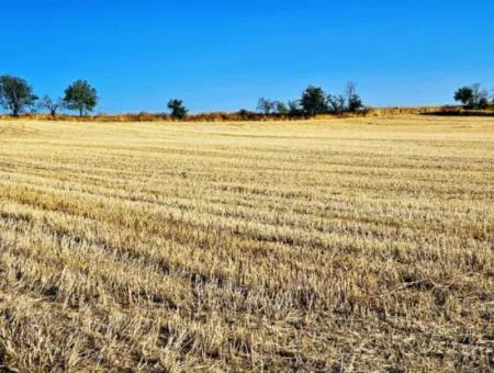 Azyaport Limanı Mevcut İmara Yakın 16.100 Acil Satılık Yatırımlık Kelepir Kupon Tarla