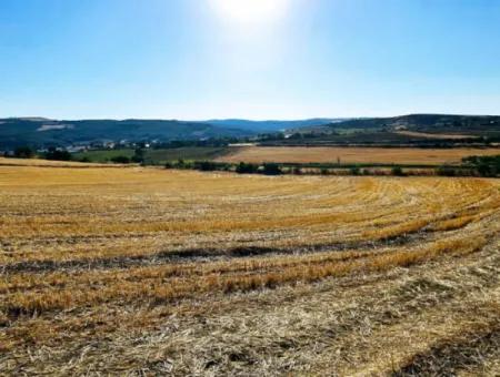 Azyaport Limanı Mevcut İmara Yakın 16.100 Acil Satılık Yatırımlık Kelepir Kupon Tarla