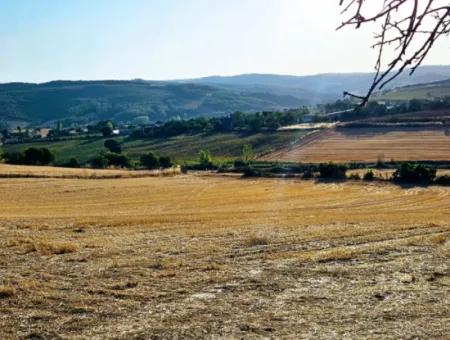 Azyaport Limanı Mevcut İmara Yakın 16.100 Acil Satılık Yatırımlık Kelepir Kupon Tarla