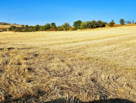 Azyaport Limanı Mevcut İmara Yakın 16.100 Acil Satılık Yatırımlık Kelepir Kupon Tarla